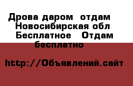 Дрова даром (отдам) - Новосибирская обл. Бесплатное » Отдам бесплатно   